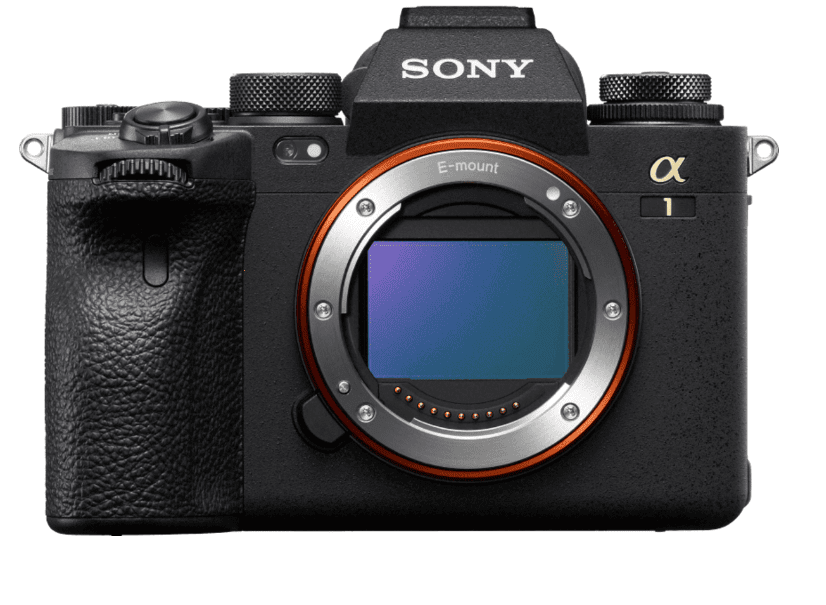 Best Professional Camera For Birding - Sony Alpha 1