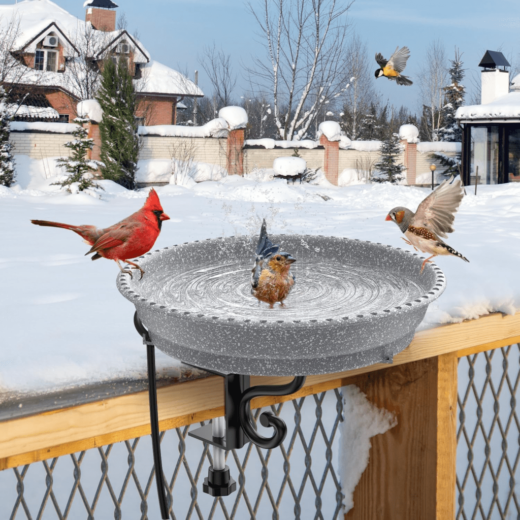 Best Heated Bird Bath for Windy Conditions : Sunvigor Heated Bird Bath
