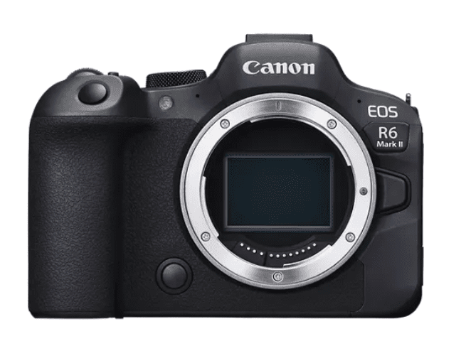 The Best Mirrorless Camera For Bird Photography Enthusiasts - Canon EOS R6 Mark II
