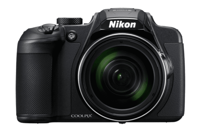 The Best Point and Shoot Camera For Birding - Nikon Coolpix B700