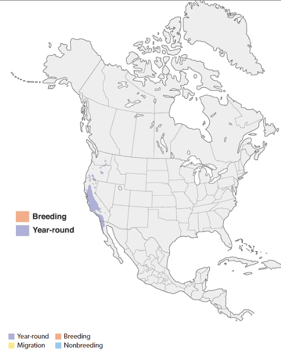 Tricolored Blackbird map