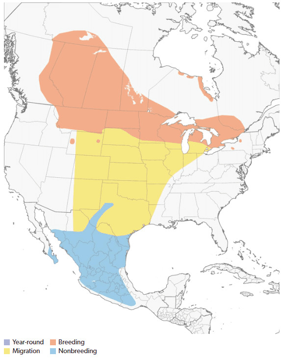 Clay-Colored Sparrow map area