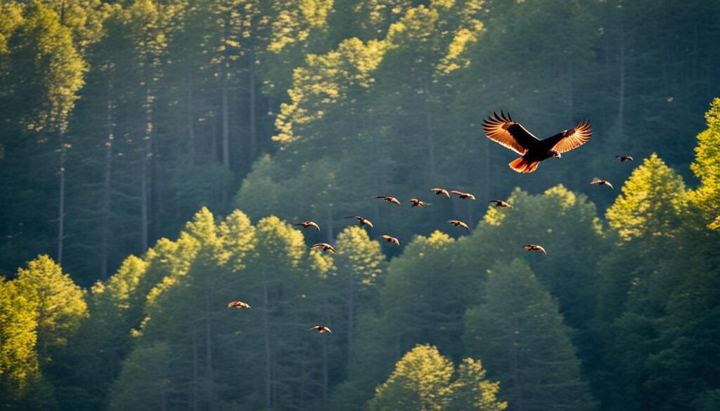 Identifying Turkey Vultures in Georgia
