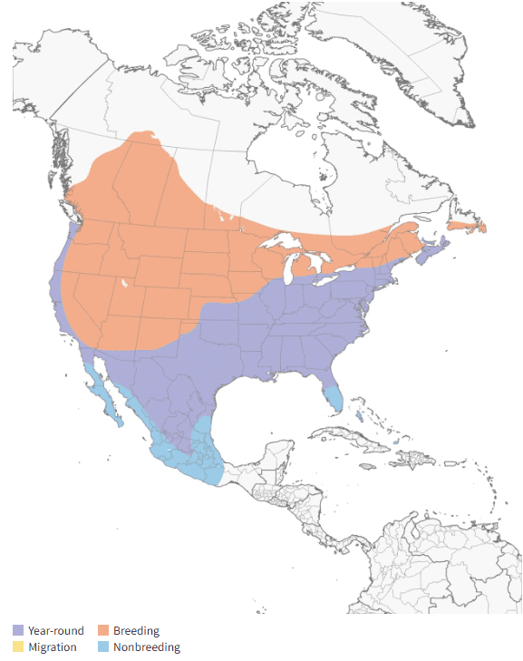 Brown-headed Cowbird MAP