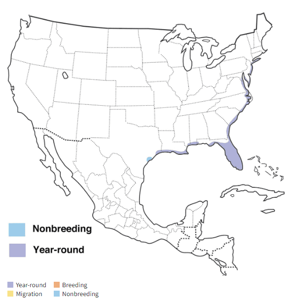 Boat-tailed Grackle Map