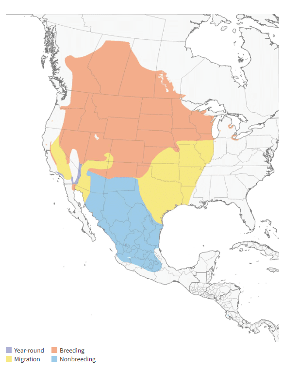 yellow headed blackbird map
